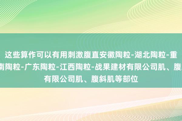 这些算作可以有用刺激腹直安徽陶粒-湖北陶粒-重庆陶粒-湖南陶粒-广东陶粒-江西陶粒-战果建材有限公司肌、腹斜肌等部位