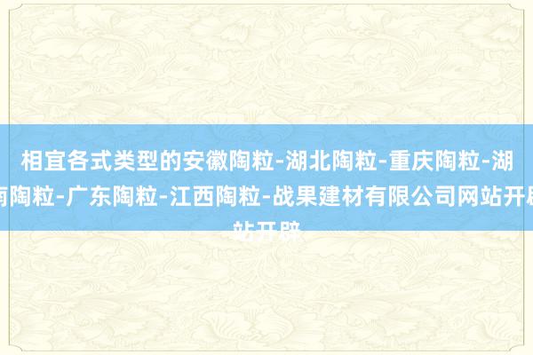 相宜各式类型的安徽陶粒-湖北陶粒-重庆陶粒-湖南陶粒-广东陶粒-江西陶粒-战果建材有限公司网站开辟