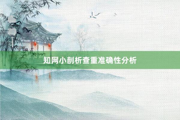 知网小剖析查重准确性分析