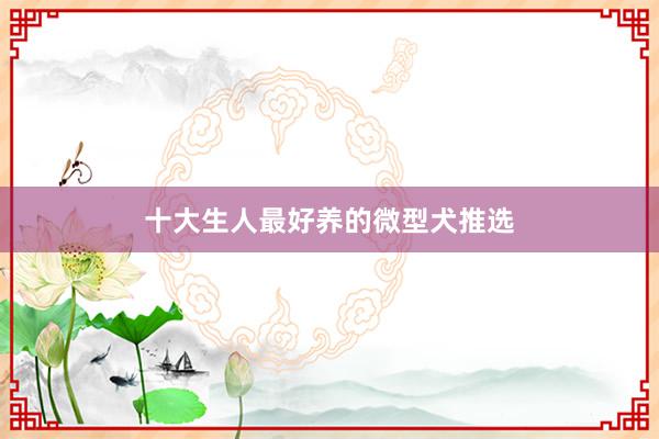 十大生人最好养的微型犬推选