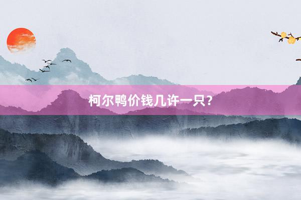 柯尔鸭价钱几许一只？