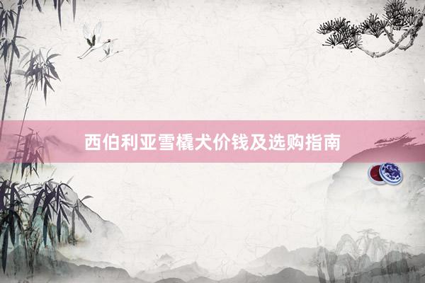 西伯利亚雪橇犬价钱及选购指南