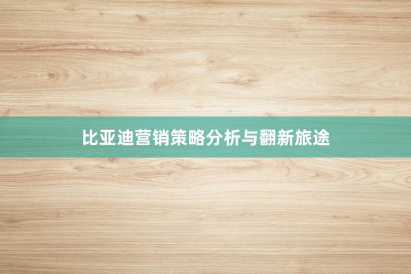 比亚迪营销策略分析与翻新旅途
